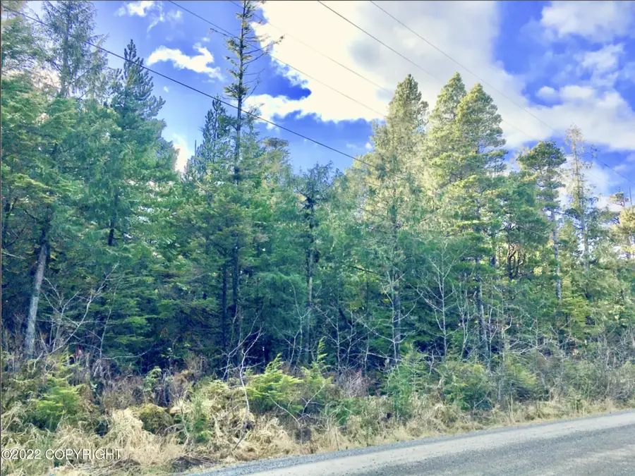 601 SE Fawn Drive, Coffman Cove, AK 99918 - Image #3