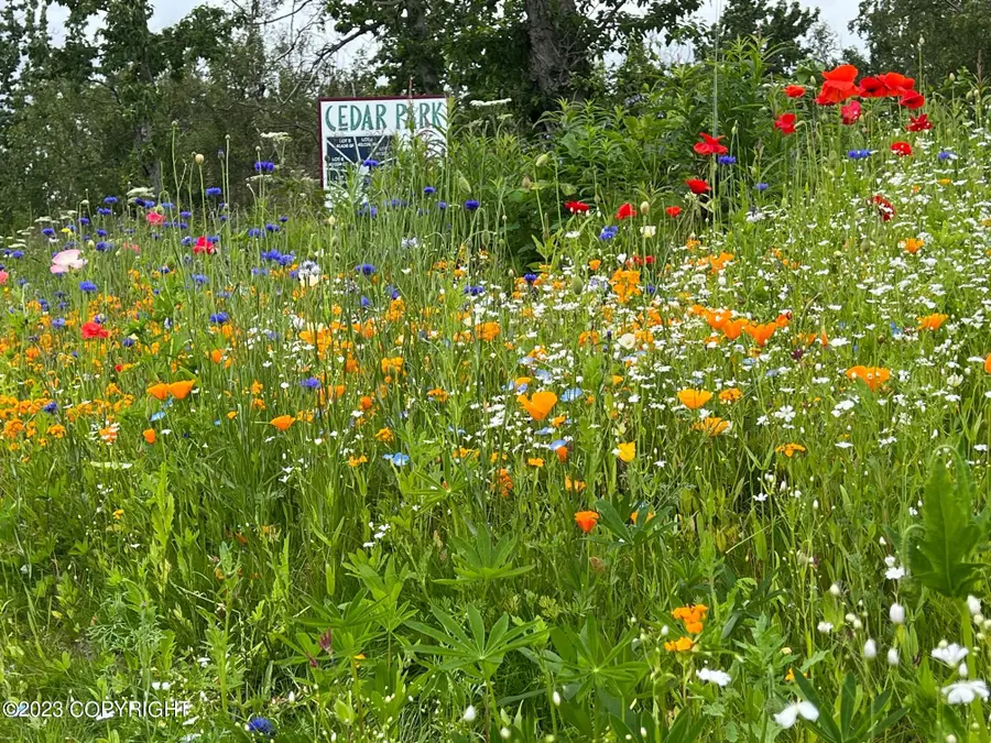 L5 B7 E Blue Atlas Circle, Palmer, AK 99645 - Image #2