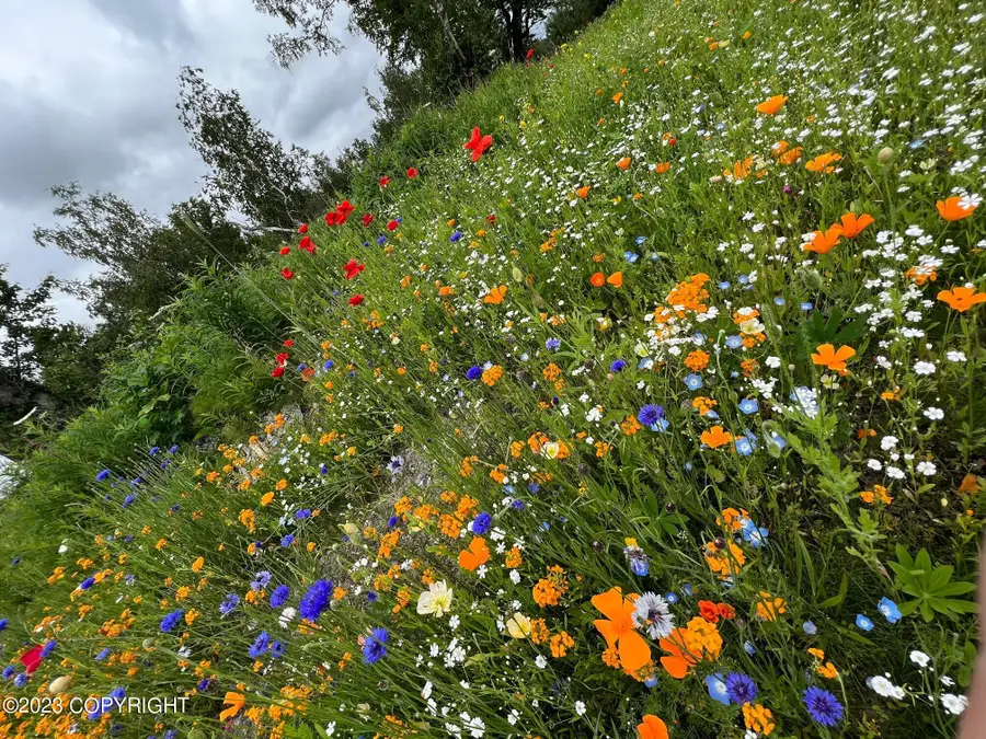 L6 B7 E Blue Atlas Circle, Palmer, AK 99645 - Image #2