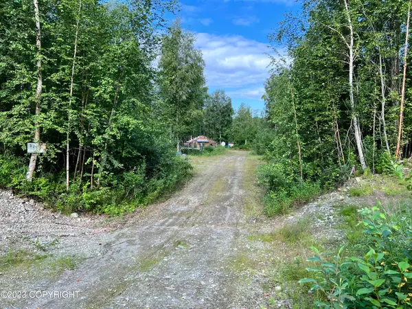 51927 S Caswell Loop, Willow, AK 99688