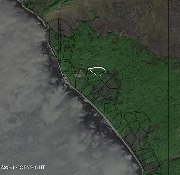 L1B3 Toklat Drive, Lake Minchumina, AK 99757