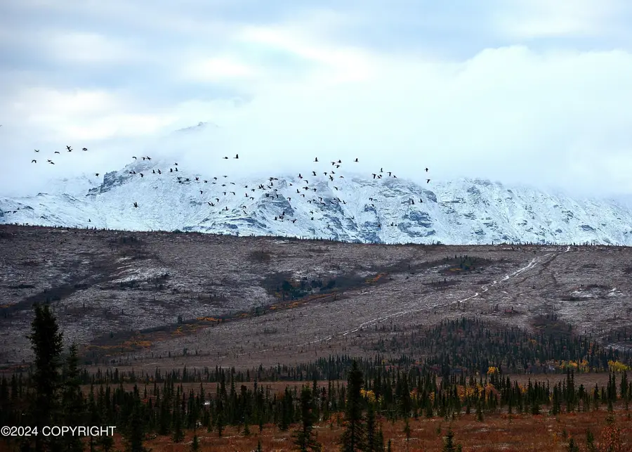 Mile 4 Stampede Road, Healy, AK 99743 - Image #2