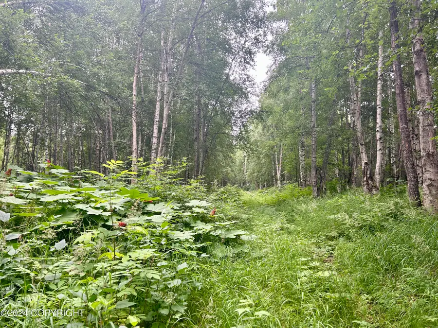 C002 W Willow Fishook Road, Willow, AK 99688 - Image #2