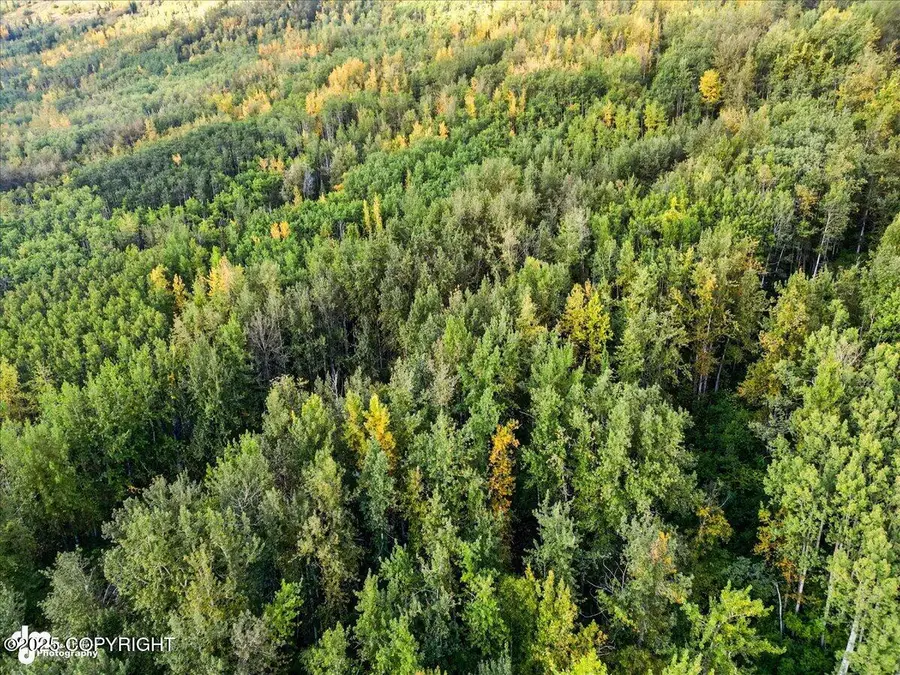 0000 No Name, Eagle River, AK 99577 - Image #2