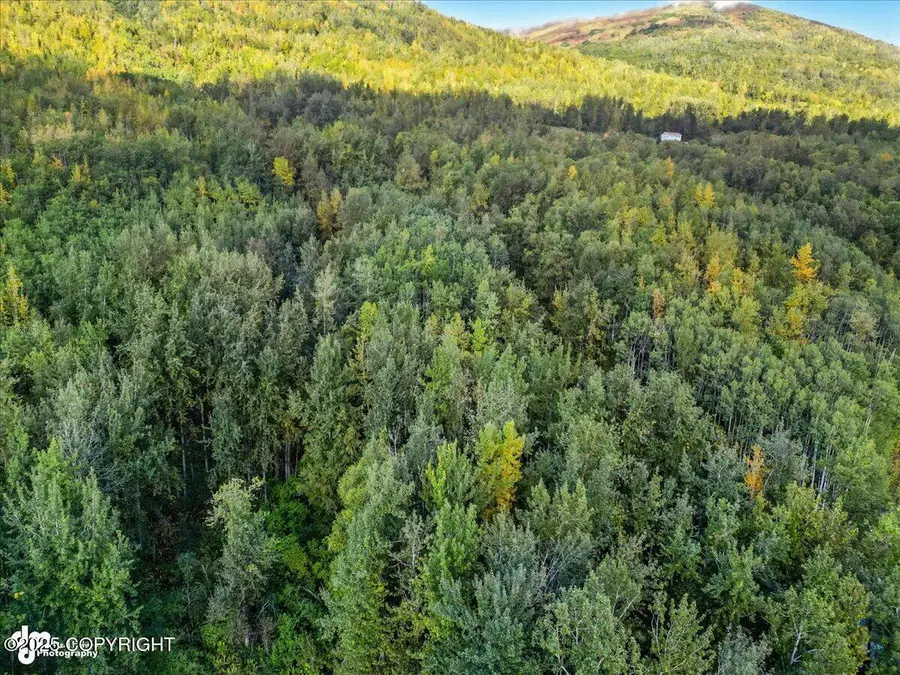 0000 No Name, Eagle River, AK 99577 - Image #3