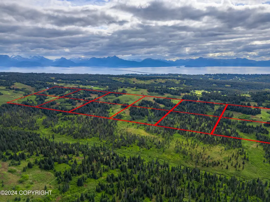 L8 Nka Crossman Ridge Avenue, Homer, AK 99603 - #3