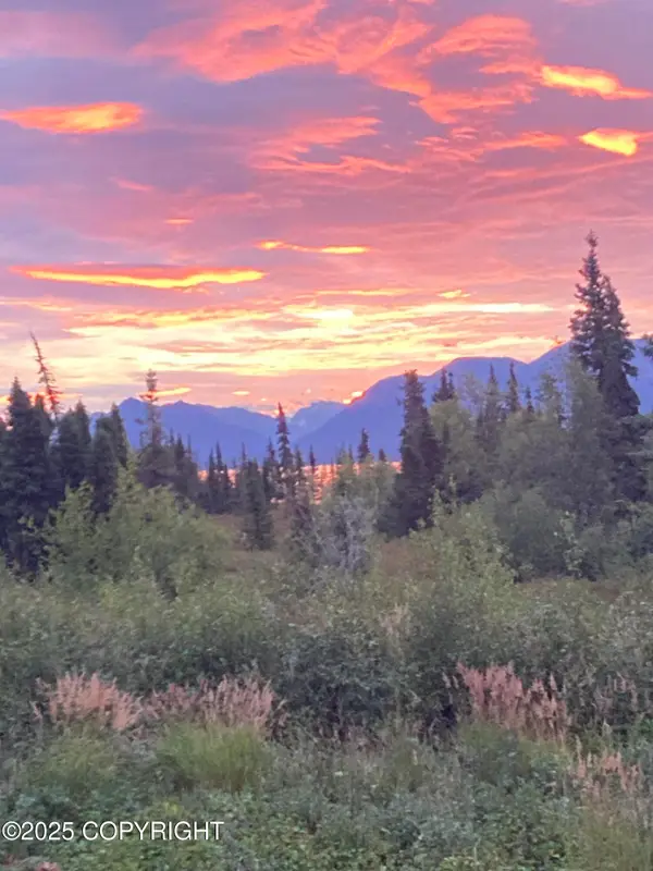 L2-3 Keyes Point, Port Alsworth, AK 99653