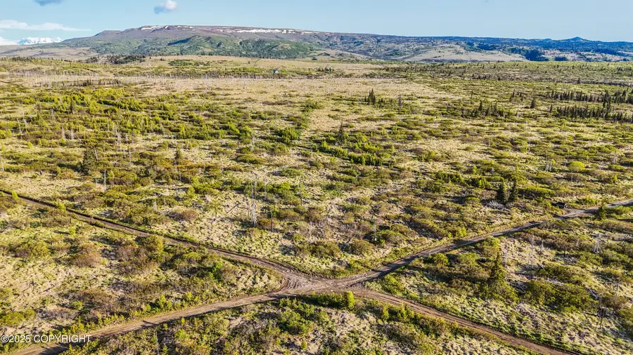 54151 Straight In Trail, Ninilchik, AK 99639 - Image #3