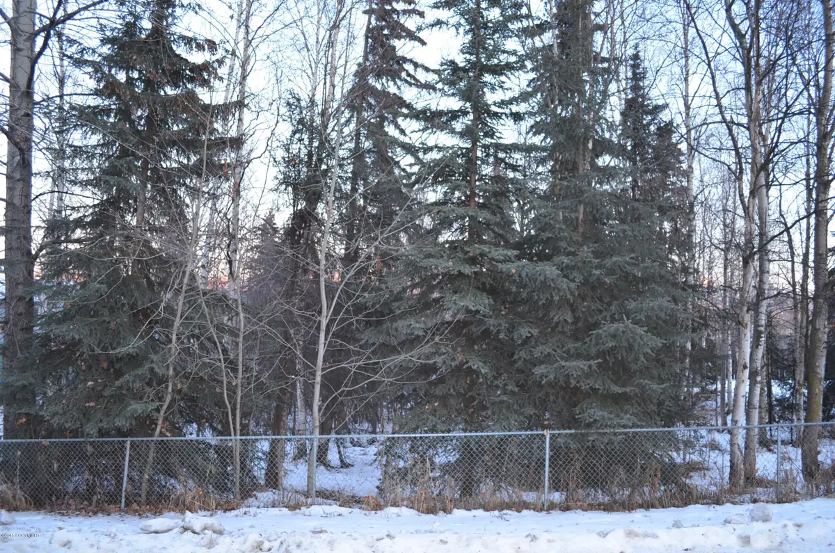 7727 Lumbis Avenue, Anchorage, AK 99518 - Image #1