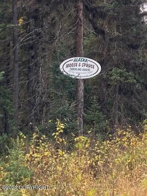 42781 Brenda Way, Soldotna, AK 99669 - Image #2