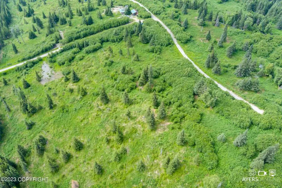 22512 Lowell Street, Ninilchik, AK 99639 - Image #3