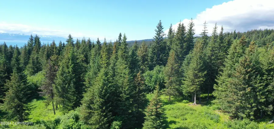 32831 Puzzlz Circle, Homer, AK 99603 - Image #2