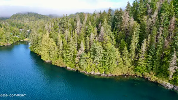 L3B1 Port Protection, Port Protection, AK 99000