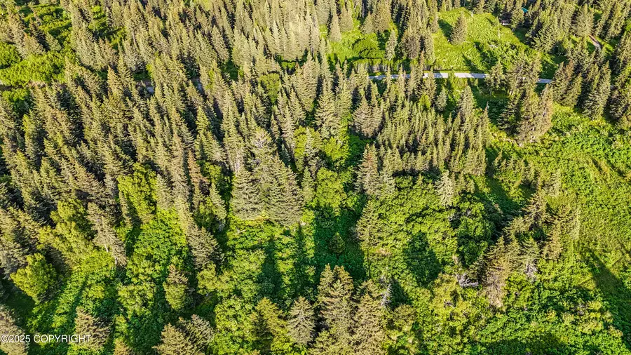 17515 Arcturus Loop, Ninilchik, AK 99639 - Image #3