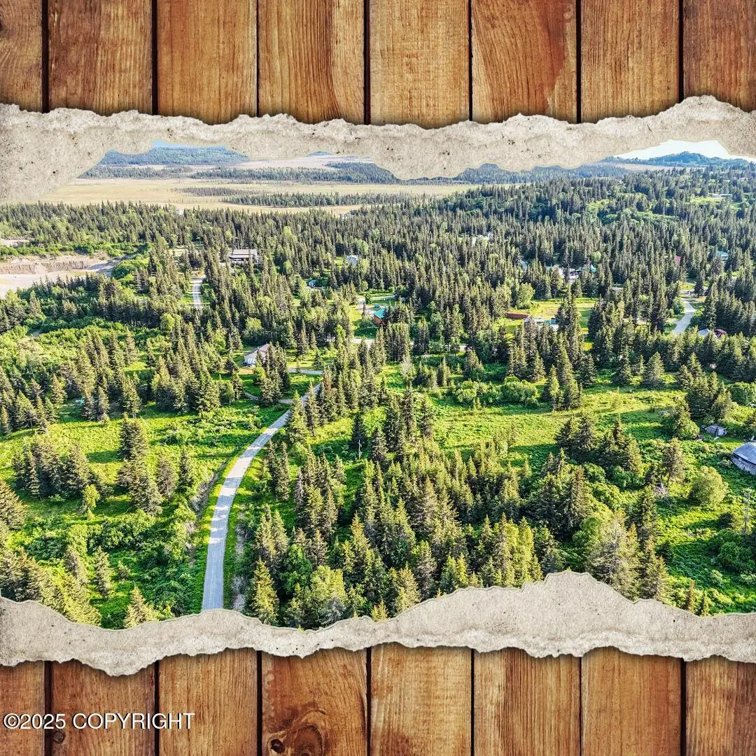 17475 Arcturus Loop, Ninilchik, AK 99639 - Image #1