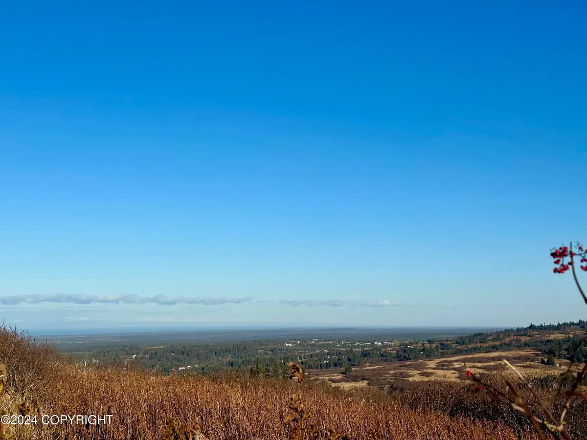 34113 Bluegrass Street, Anchor Point, AK 99556 - Image #1