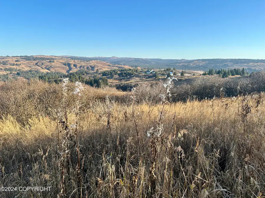 34113 Bluegrass Street, Anchor Point, AK 99556 - Image #3