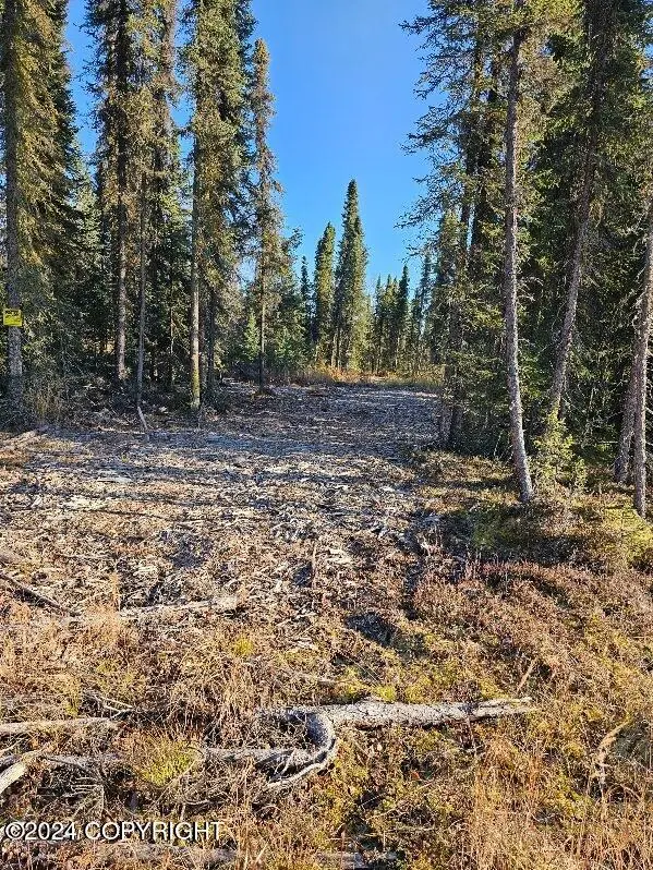 L3 Erlwein Circle, Soldotna, AK 99669 - Image #3