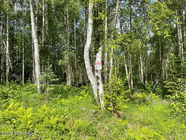 48484 S Grizzly Bear Circle, Willow, AK 99688