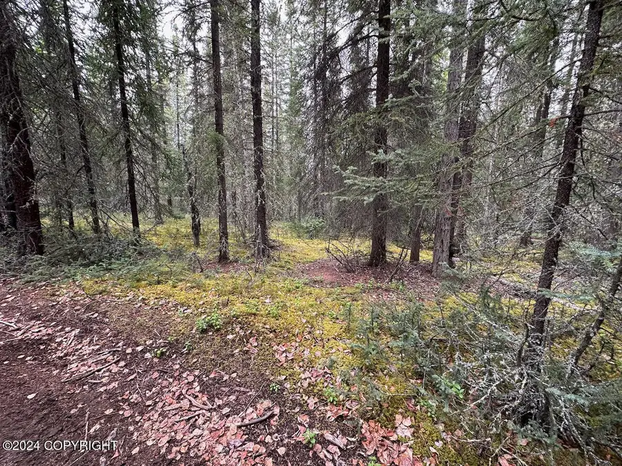 Tract 6& 7 Ak-2, Southeast Fairbanks, AK 99780 - Image #2
