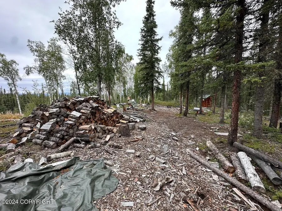 Tract 6& 7 Ak-2, Southeast Fairbanks, AK 99780 - Image #3