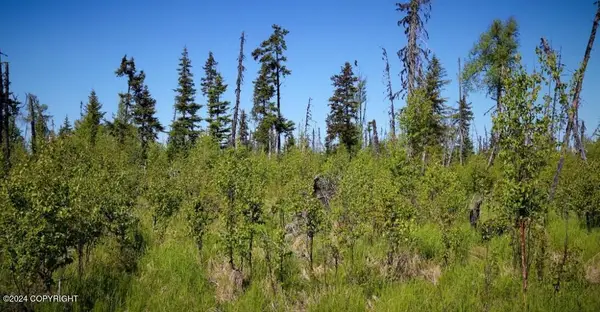 C24-25 Alaskan Wildwood Ranch (r), Nikolaevsk, AK 99556