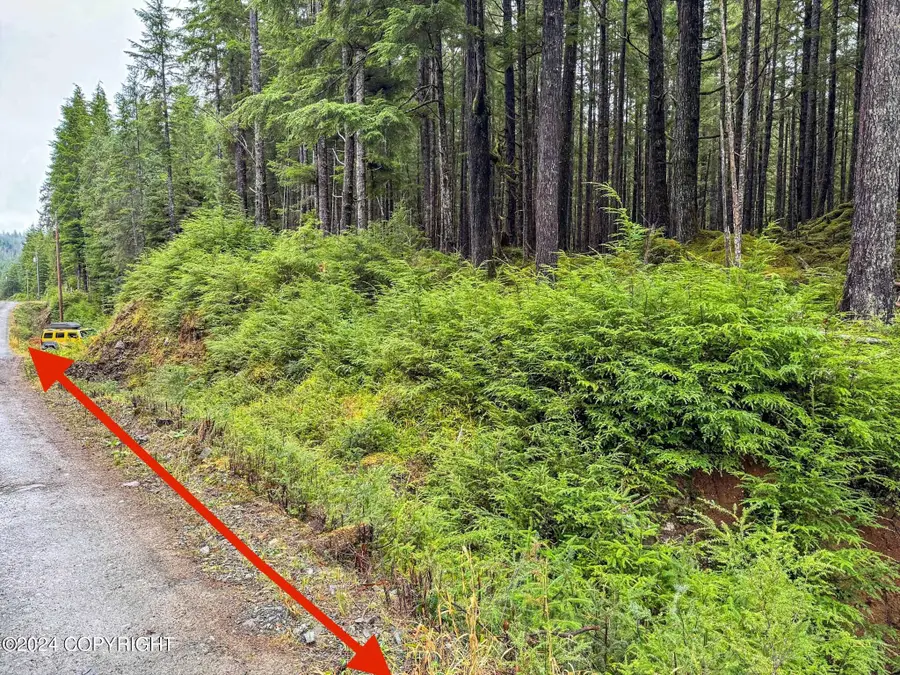 L10B18 Steep Road, Thorne Bay, AK 99919 - Image #2