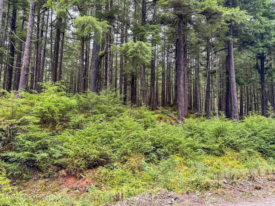 L10B18 Steep Road, Thorne Bay, AK 99919 - Image #3
