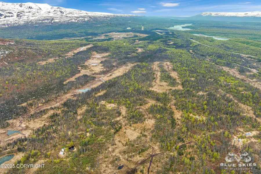 0 E Round Top Road, Talkeetna, AK 99676 - Image #3