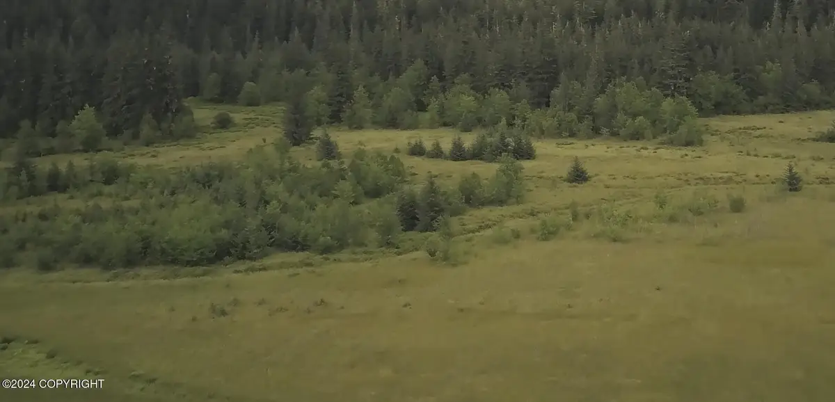 Tract A6 Knig Slough, Wrangell, AK 99929 - Image #1