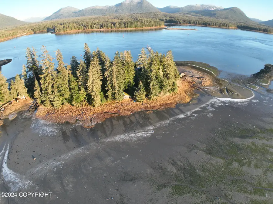 Lot 21 Greenrock Subd., Petersburg, AK 99833 - #3