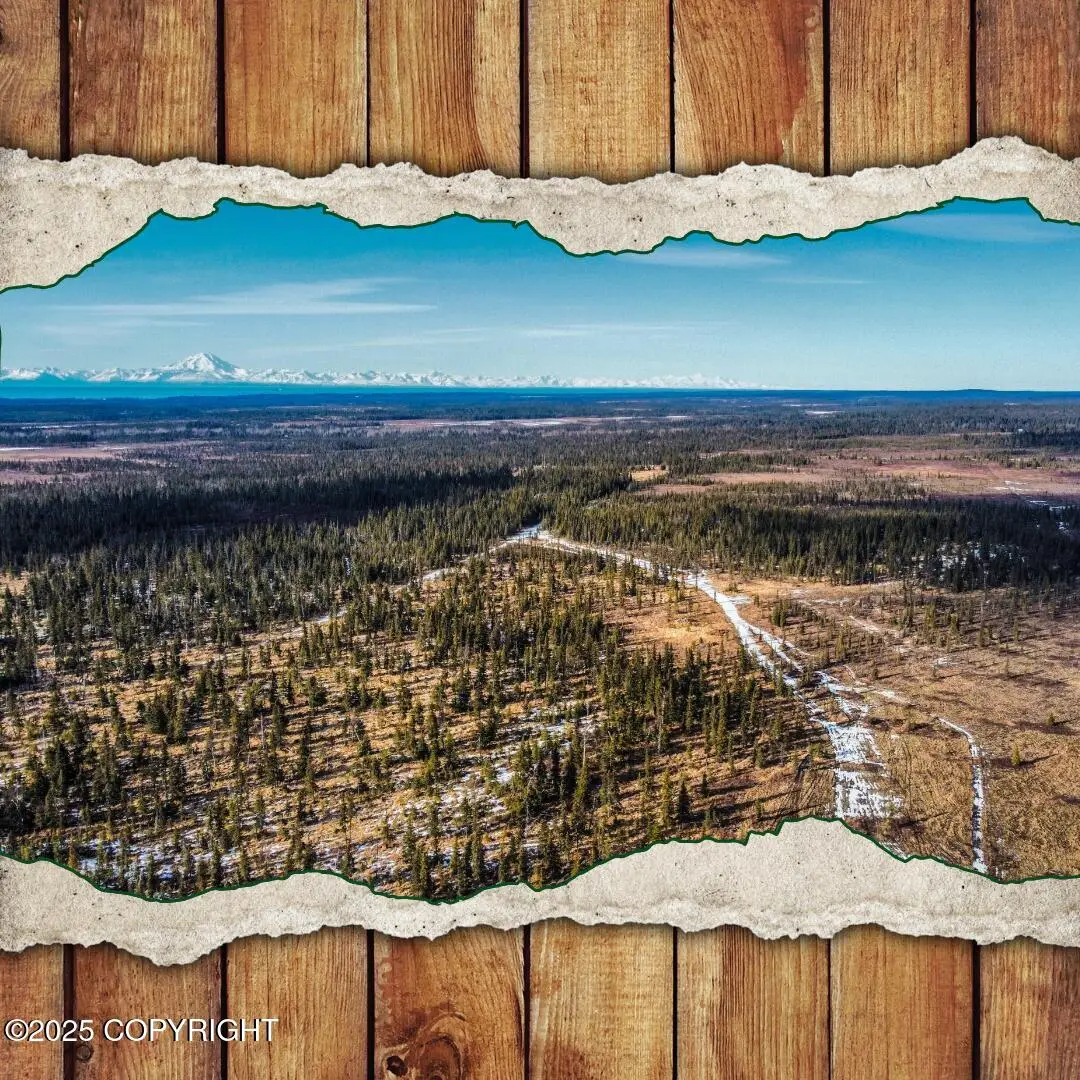 33790 Handcart Road, Anchor Point, AK 99556 - Image #1