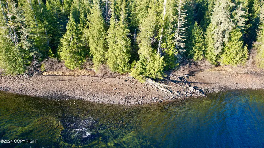 6 Nanny Bay, Hollis, AK 99000 - Image #3