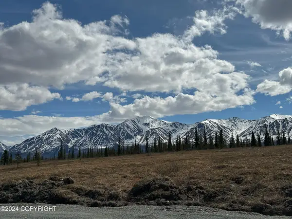 L31 Wonderstruck Avenue, Cantwell, AK 99729