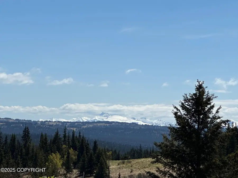 63687 Inez Avenue, Anchor Point, AK 99556 - #2