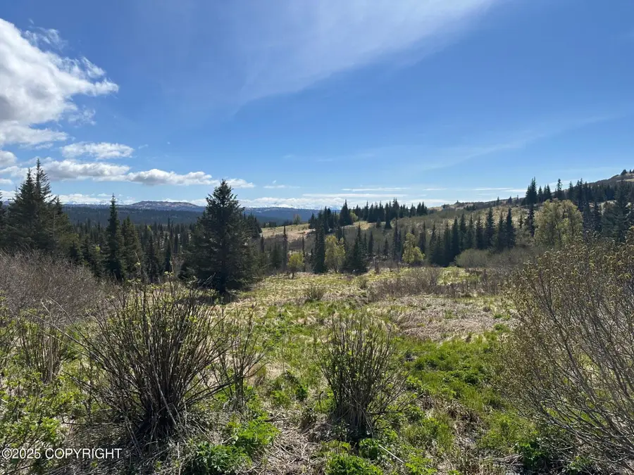 63687 Inez Avenue, Anchor Point, AK 99556 - #3