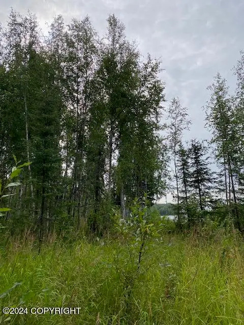 3846 N White Knight Drive, Wasilla, AK 99623