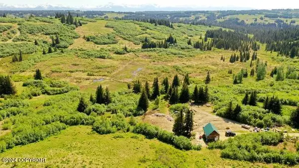 61245 Ohlson Mountain Road, Homer, AK 99603