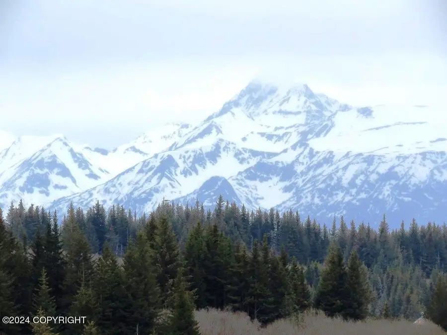 61255 Ohlson Mountain Road, Homer, AK 99603 - #3