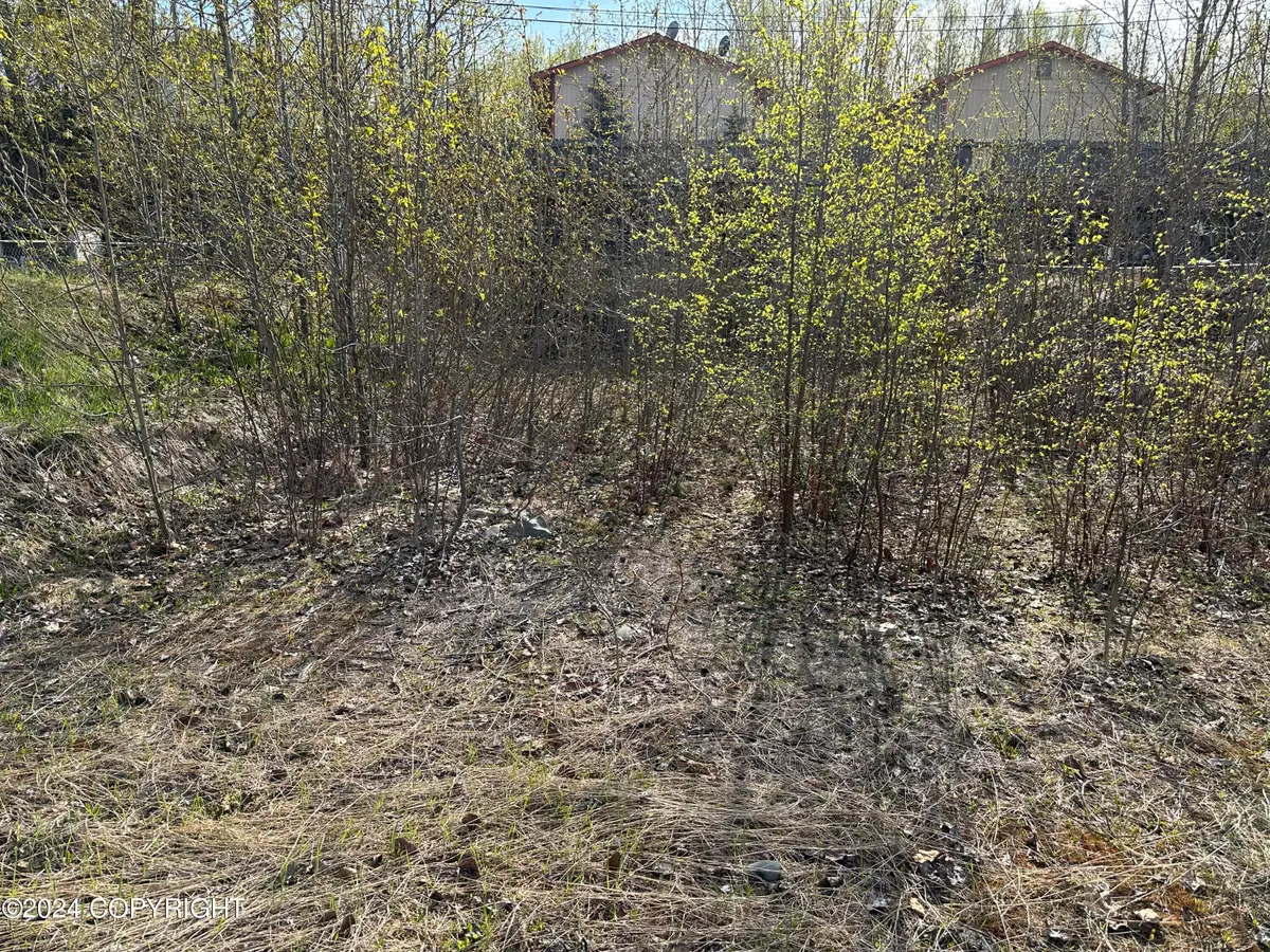 115 Grand Larry Street, Anchorage, AK 99504 - #1