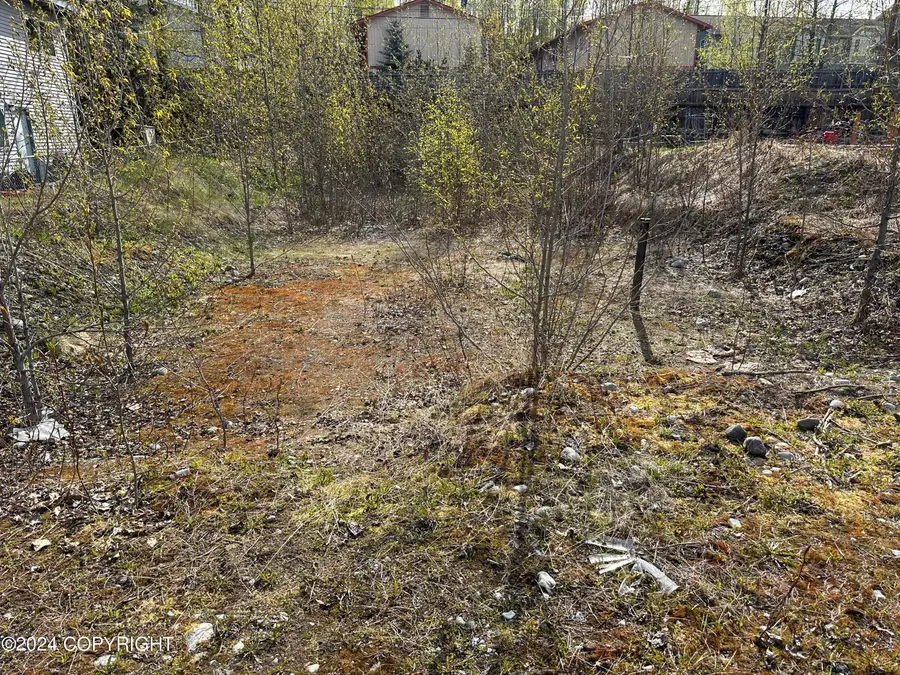 115 Grand Larry Street, Anchorage, AK 99504 - #2