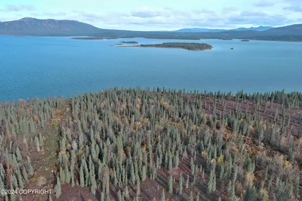 L3B1 Grizzly Road, Aleknagik, AK 99555