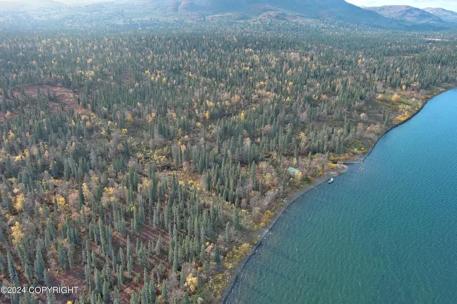 L1B4 Black Bear & Grizzly Road, Aleknagik, AK 99555 - Image #2