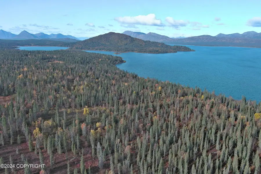 L1&L2 B5 Bear Tracks Road, Aleknagik, AK 99555 - Image #2