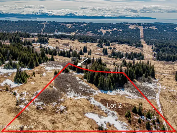 L2 Salin's Spur Road, Homer, AK 99603
