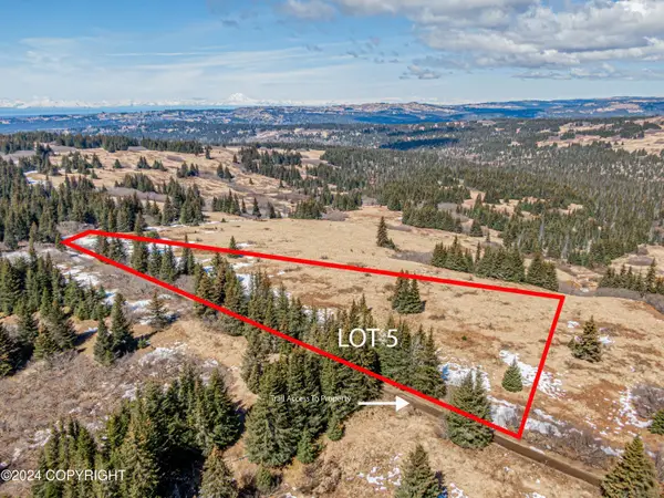 L5 Salin's Spur Road, Homer, AK 99603