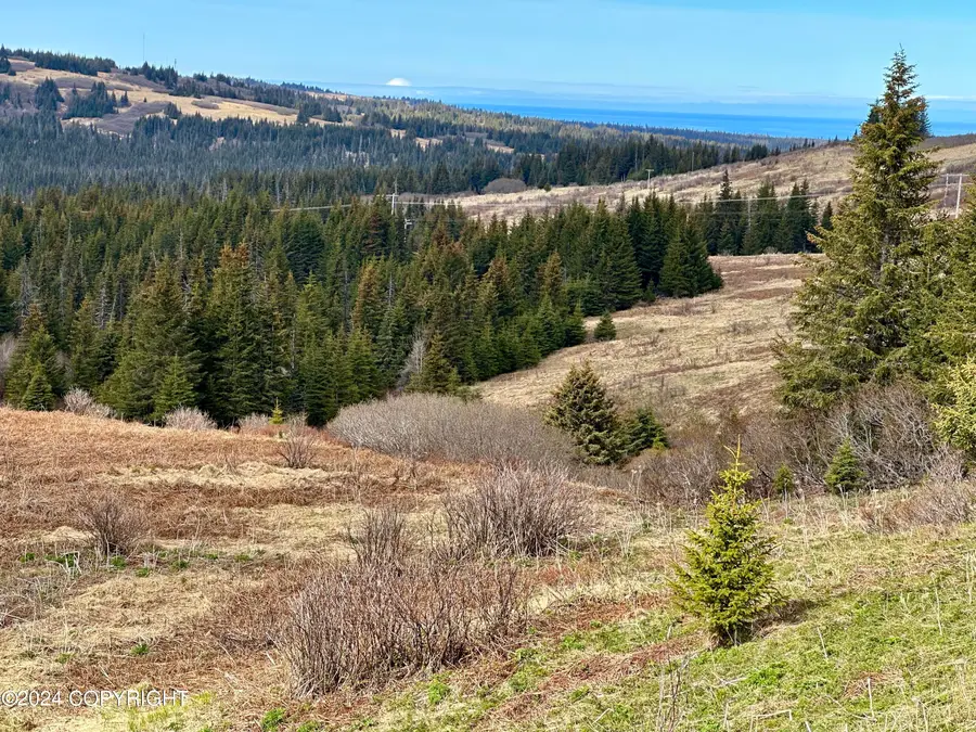 000 Fletcher Road, Homer, AK 99603 - Image #2