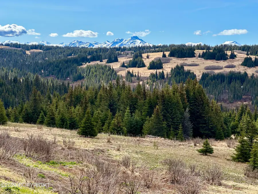 000 Loyjean Drive, Homer, AK 99603 - Image #3