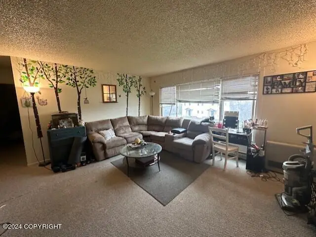 106 E Bayview Avenue, Homer, AK 99603 - Image #3