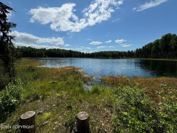 B005 Private Road, Willow, AK 99688